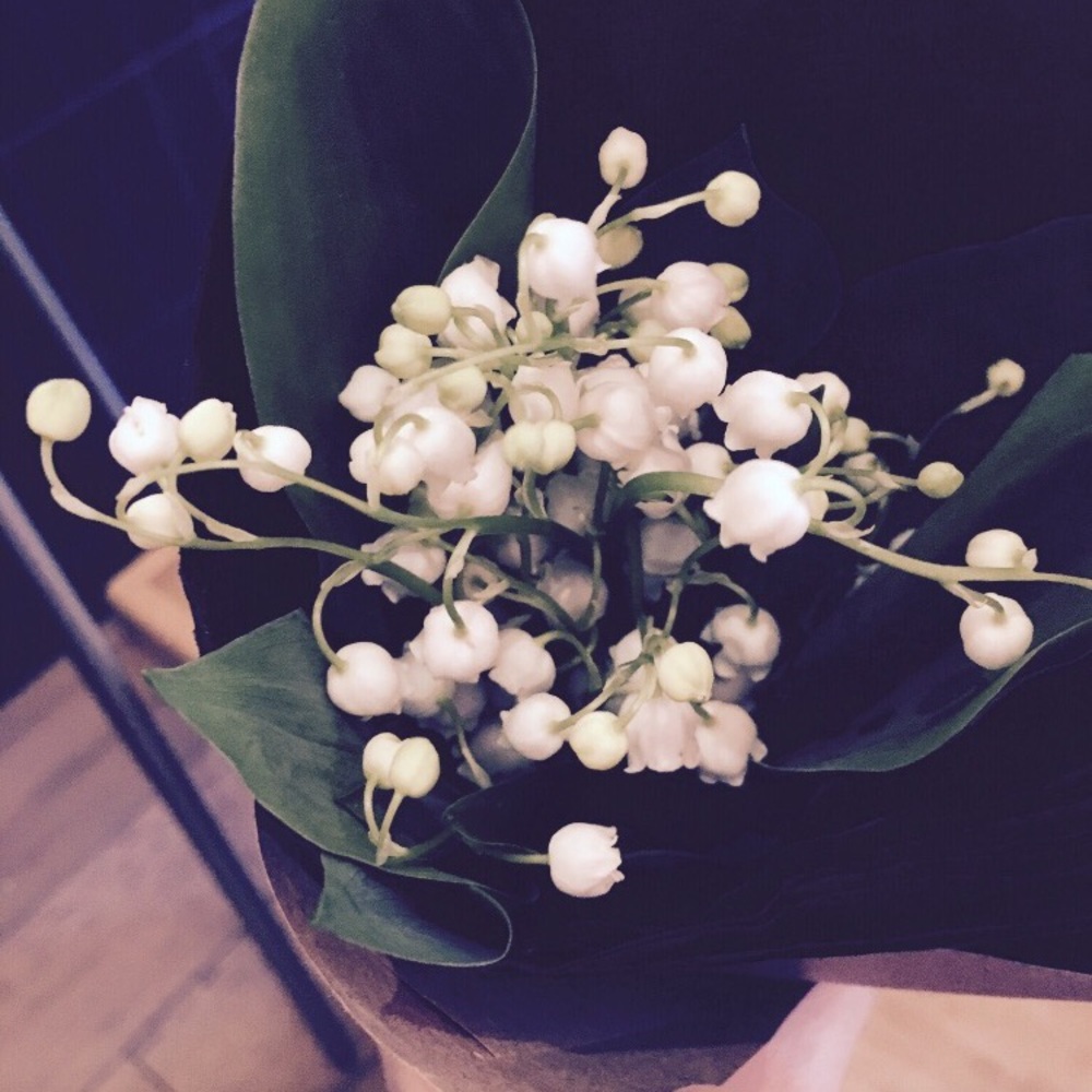 Meet your Posher, Heajung