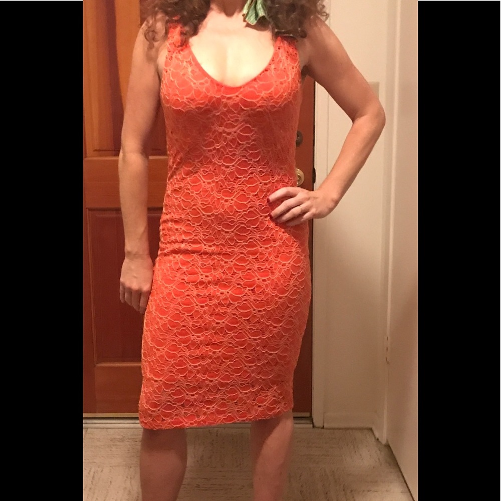 Graham & Spencer "Velvet" Bodycon Lace Dress