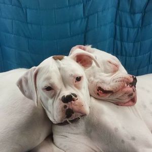 Meet your Posher, Tina