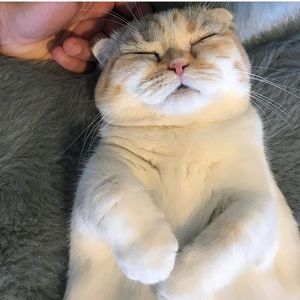 Meet your Posher, Seowon