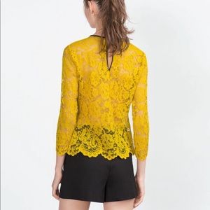 Zara - lace top - brand new