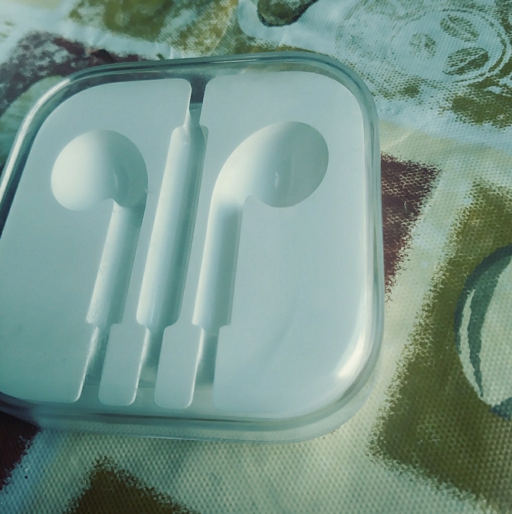 Apple Earpod Case (official case)