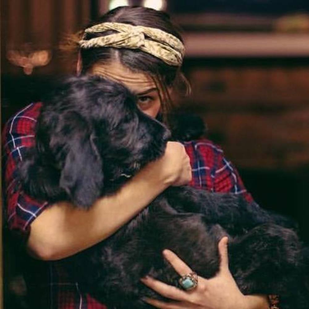 Meet your Posher, Shannon