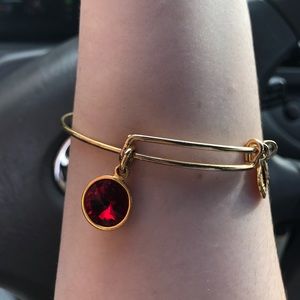 Alex and Ani January Birthstone