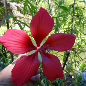 Meet your Posher, Betty