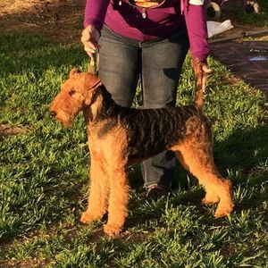 Meet your Posher, Alaine