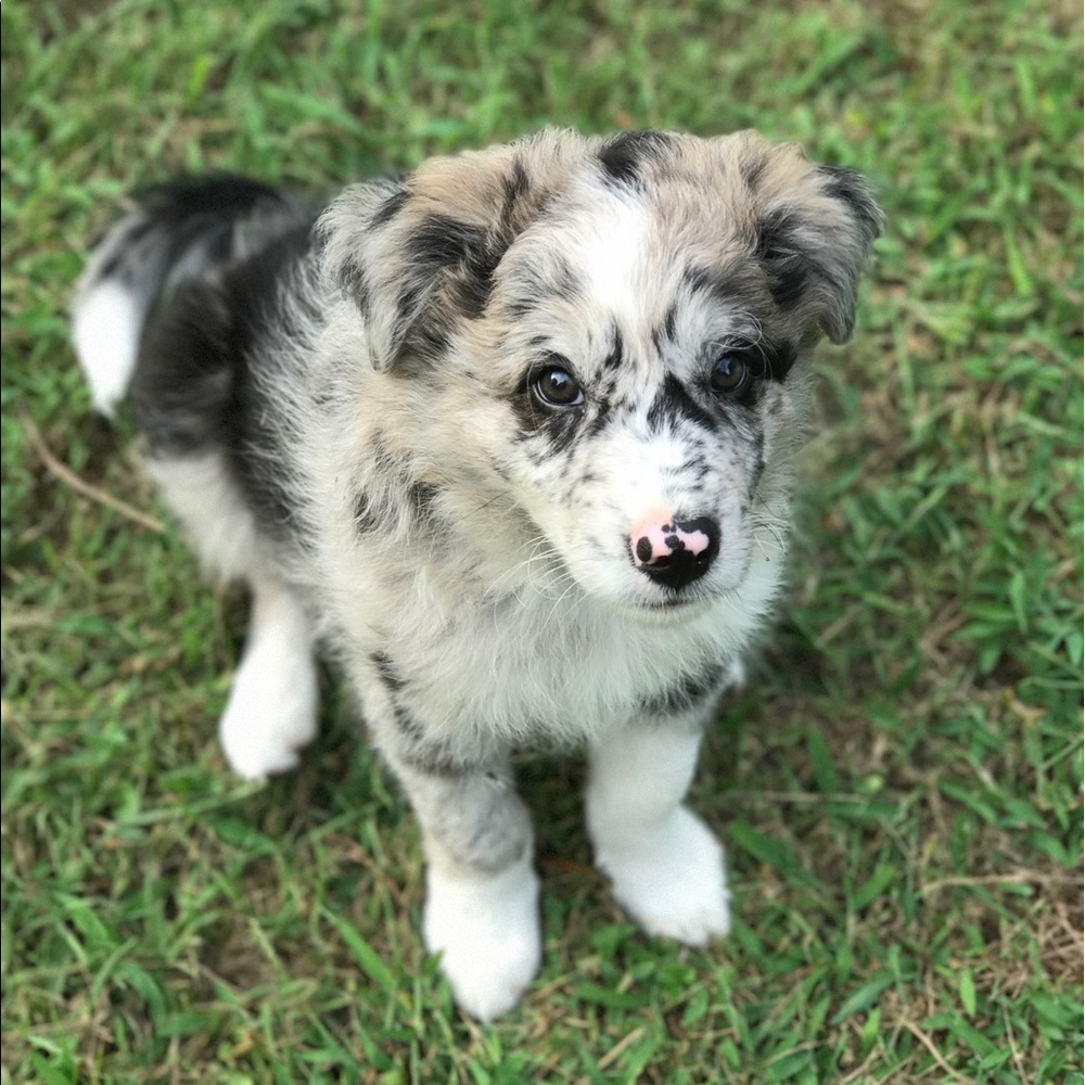 Meet your Posher, Candice