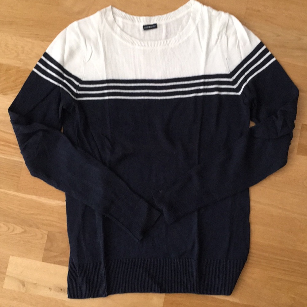 Brandy Melville blue and white crew neck sweater