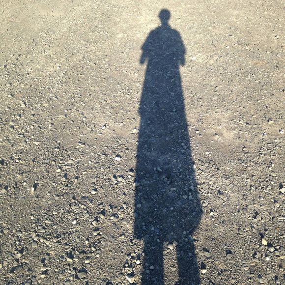 Meet your Posher, Aspen - Picture 1 of 1