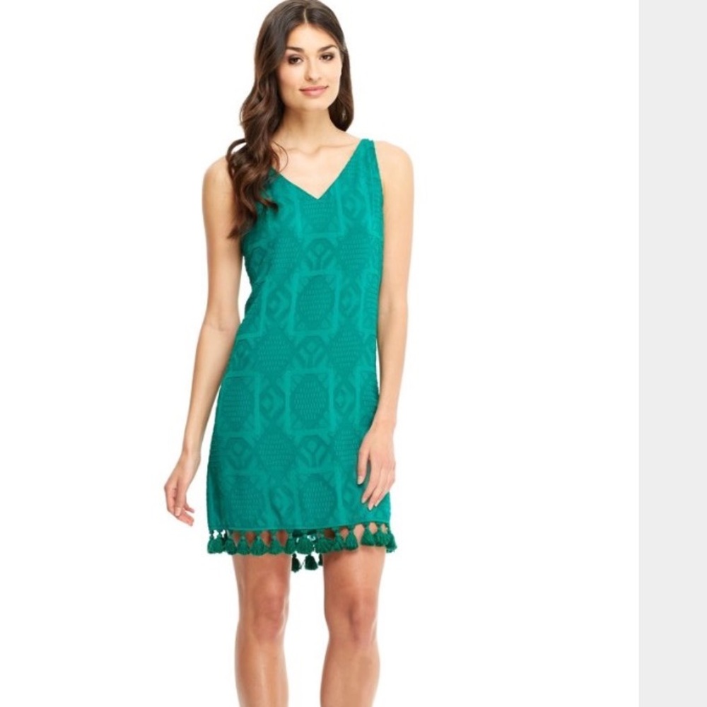 🎀Emerald Textured Chiffon Dress with Tassels🎀