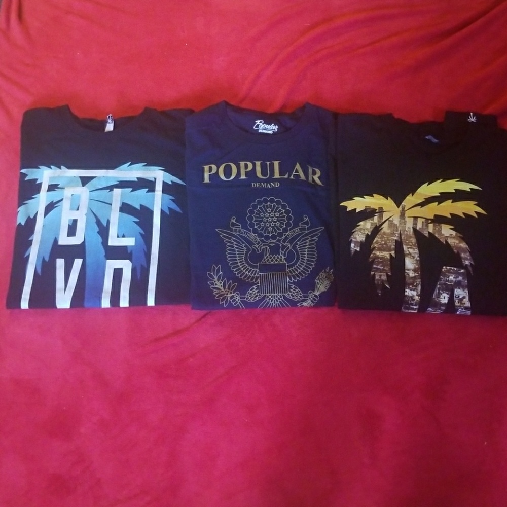 Men's Logo T shirt bundle