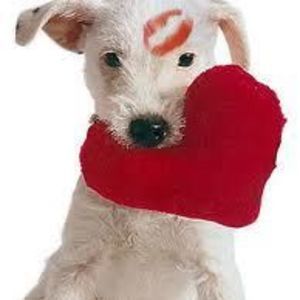 Meet your Posher, Betty