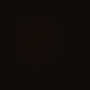 Meet your Posher, Bob