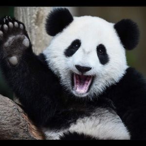 Meet your Posher, Hailey