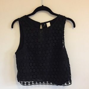 Sheer Lace Crop Top