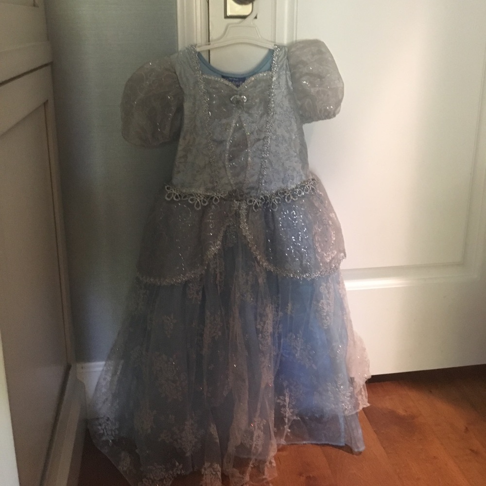 Beautiful Cinderella Halloween Costume