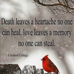 Meet your Posher, Shania