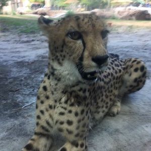 Meet your Posher, Julianne