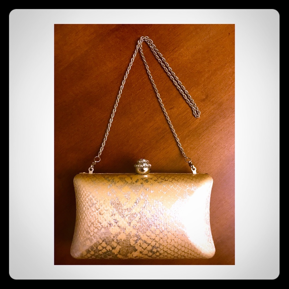 Evening Clutch