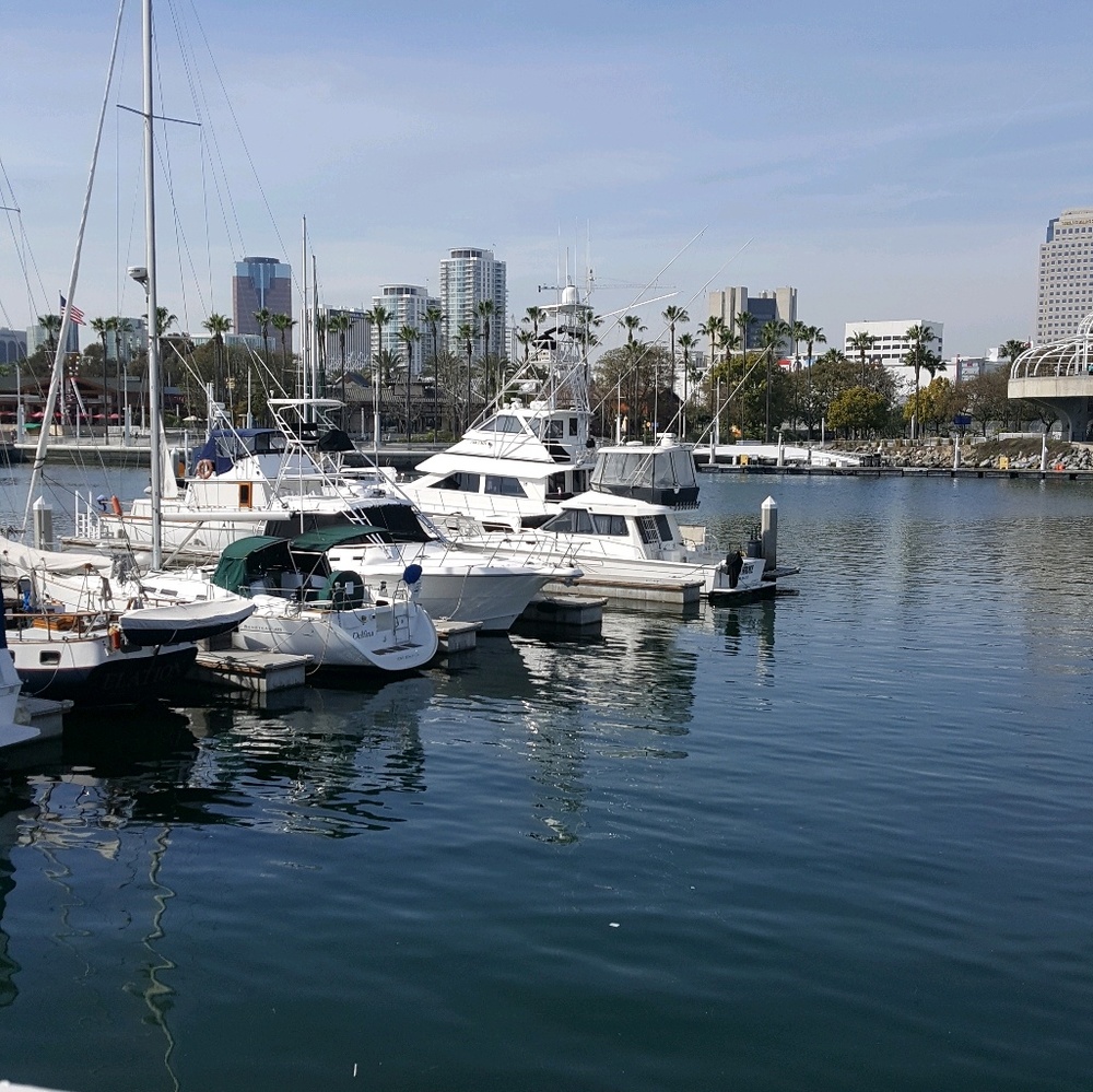 Meet your Posher, Joyce