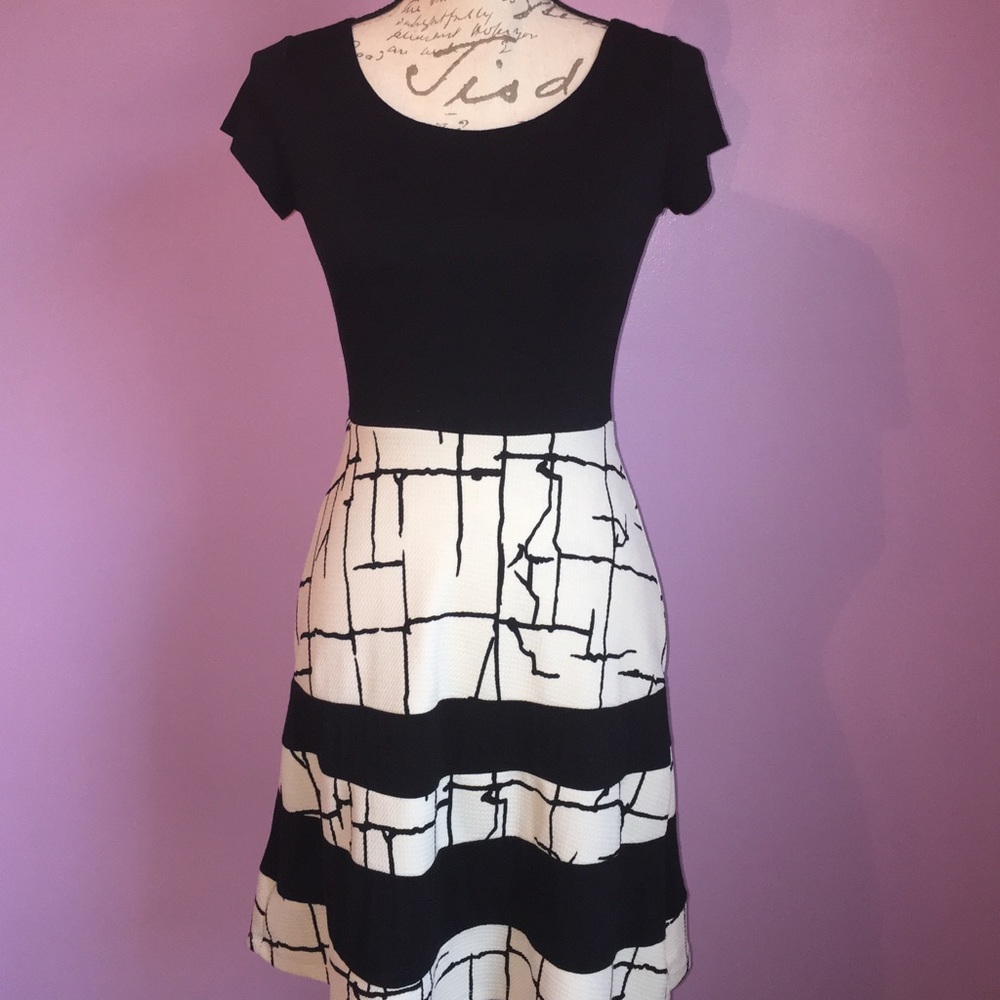 NWOT Black A-line Dress. Never-worn