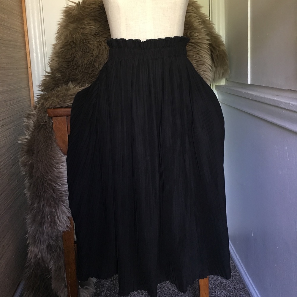 Black Pleated Midi Anthropologie Skirt M