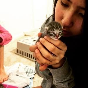 Meet your Posher, Alexia