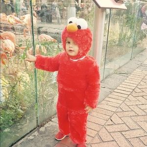 Meet your Posher, Mignon