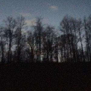 Meet your Posher, Britney