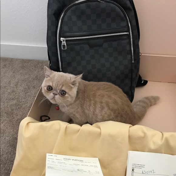 Louis Vuitton Michael backpack - Picture 4 of 4