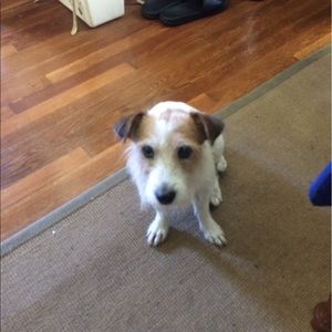 Meet your Posher, Melanie