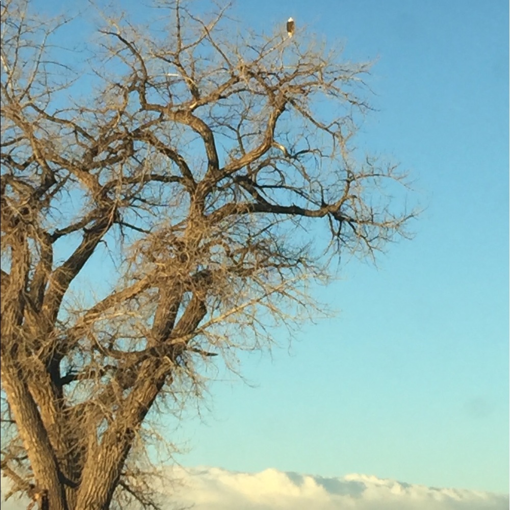 Meet your Posher, Kelley