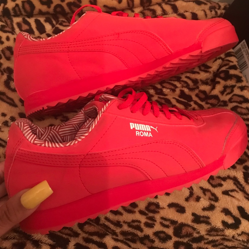 Red puma (roma)