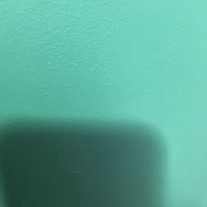 Meet your Posher, Olga