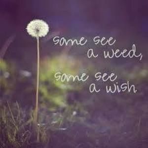 Meet your Posher, Marlena