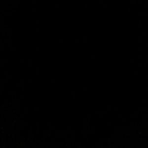 Meet your Posher, Antwaun