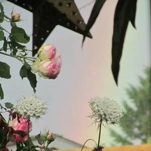 Meet your Posher, Jan