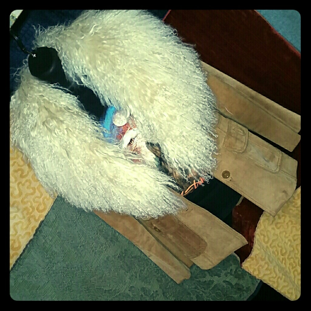 LAST ONE! Proud Mary Wool Collar