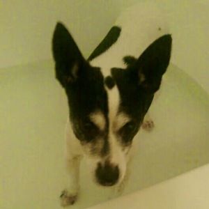 Meet your Posher, Michaela