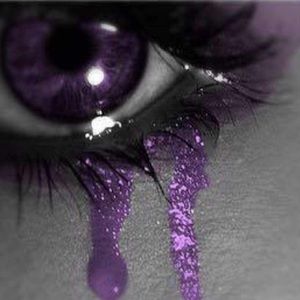 Meet your Posher, Libby