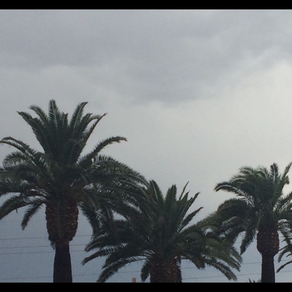 Meet your Posher, Ruth - Picture 1 of 1