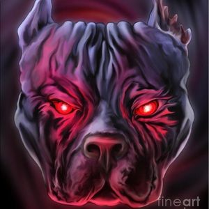 Meet your Posher, Krystal