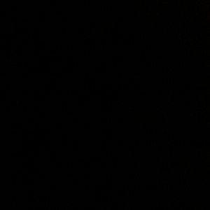 Meet your Posher, Maureen