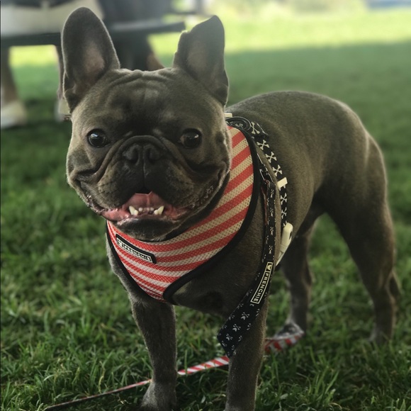 Meet your Posher, Yalitza - Picture 1 of 1