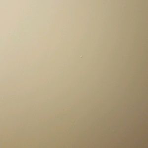 Meet your Posher, Armie