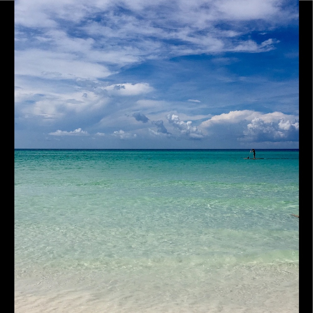 Meet your Posher, Sandy