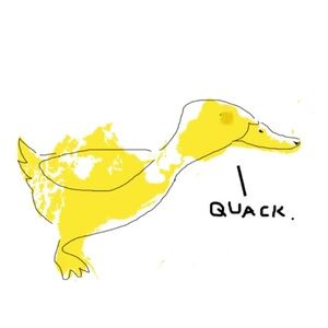 Meet your Posher, Riley