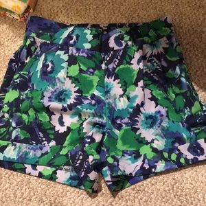 New York & Co shorts