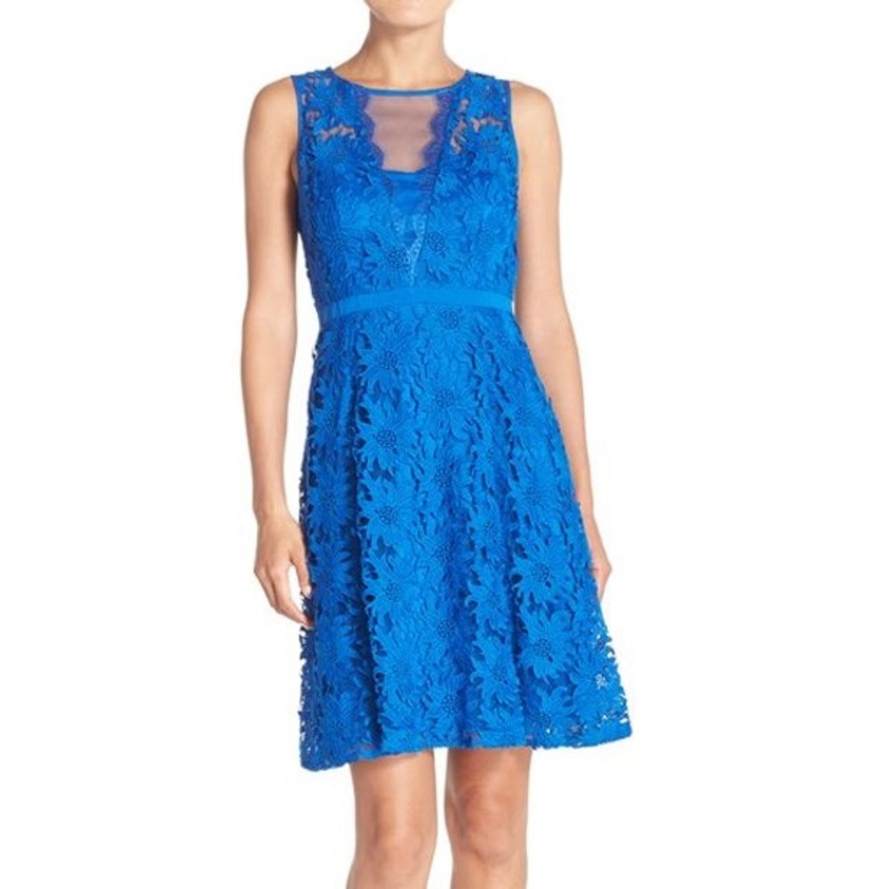 Embroidered Floral Lace Fit and Flare Dress