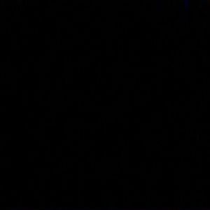 Meet your Posher, Brisyn